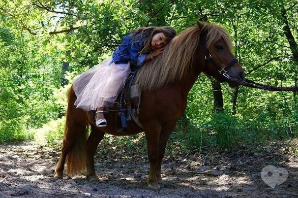 Акція – Знижки до Дня народження поні-клубу "Кентаврик", фото Акція – Знижки до Дня народження поні-клубу "Кентаврик"