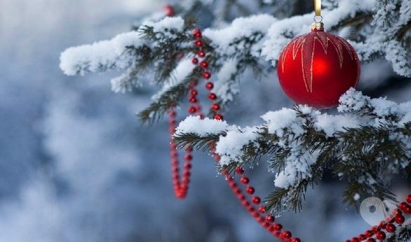 Акция - Новогодний отдых в Закарпатье (отель Виноградово) от "Мандрівник", фото Акция - Новогодний отдых в Закарпатье (отель Виноградово) от "Мандрівник"