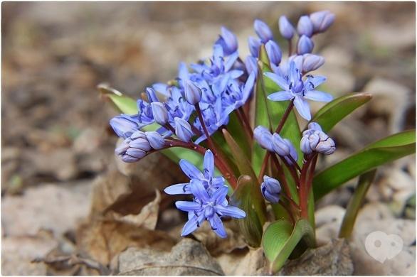 Акция - Тур в заказник "Белоснежный" от "НАМИ"