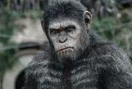 Фільм 'Світанок планети мавп 3D' - трейлер