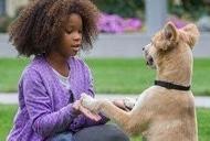 Фильм 'Энни' - трейлер