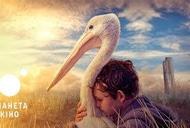 Фильм 'Мой друг Мистер Персиваль' - трейлер