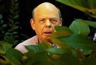 Фильм 'Фестиваль Рифкина' - трейлер